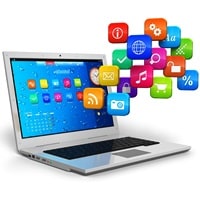 Software License